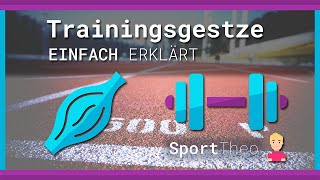 Trainingsgesetze einfach erklärt  Sporttheode [upl. by Hinckley83]