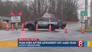 Man dies after apparent hitandrun in North Branford [upl. by Astraea]