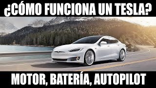 ¿Cómo funciona un Tesla Motor batería Autopilot todo lo que necesitas saber [upl. by Aivilo]