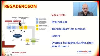 HOW REGADENOSON OR LEXISCAN WORKS BY NIK NIKAM MD [upl. by Oza]