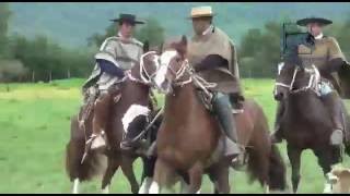 CABALLOS CHILENOS  Remate 03 Noviembre 2016 quotCRIADERO ALTOS DE ACHIBUENOquot [upl. by On473]