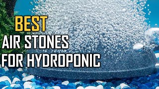 Top 5 Best Air Stones for Hydroponics Review  Homemade Air Stone for Hydroponics 2023 [upl. by Laveen]