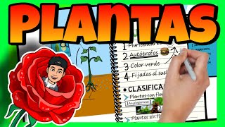 Clasificacion de las plantas explicado para niños [upl. by Ephram]