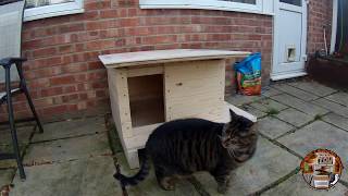 27 How to make cat house  Create 2 make [upl. by Namron]