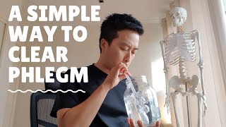 Clear phlegm now how to get rid of sputum cold flu pneumonia [upl. by Ahsinelg560]