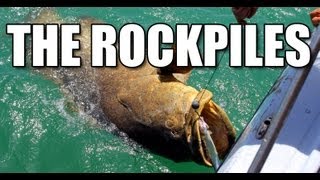 Goliath Grouper Fishing Florida Keys with Capt Dave Sutton [upl. by Khalin232]