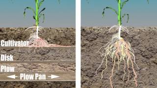 Принципы вертикальной почвообработки Vertical Tillage Principles [upl. by Legra]