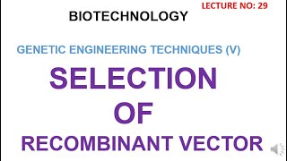 pUC Vector Features Selectable Markers  How Blue White Recombinant Screening works Explained [upl. by Buna]