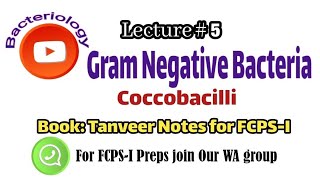 Bacteriology Lecture 5 Coccobacilli only for FCPS 1 [upl. by Onoitna]