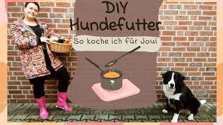 quotDIYquot Hundefutter selber kochen [upl. by Ioyal]