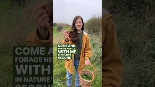 Second spring nettle foraging foraging nettle autumnwalk naturelovers ancientwisdom [upl. by Leeanne150]