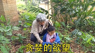 不要因为贪婪害了自己一家，为了几百块“帮”人贩子抬女儿，最后焦急寻找反面教材传递正能量 社会百态 [upl. by Debora]