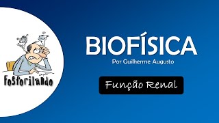 FUNÇÂO RENAL Compartimento Vascular  BIOFÍSICA [upl. by Ynohtnaed]