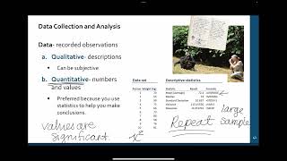 101 1G The Scientific Method Data and Conclusions [upl. by Ttenaj]