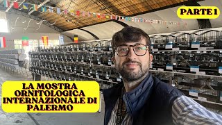 LA MOSTRA DEI CANARINI  CAMPIONATO INTERNAZIONALE ORNITOLOGICO DELLA CONCA DORO PART1 [upl. by Bettencourt]