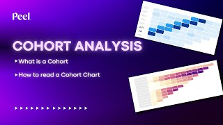 What is a Cohort How to Read a Cohort Analysis Chart [upl. by Ellenehc]