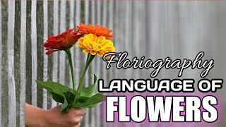 SYMBOLISM OF FLOWERS  Floriography  Language of Flowers [upl. by Sirenay301]