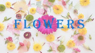 Flowers Name flowers name with pictures flowers name with spelling flowers name Chetankidsstudy [upl. by Adelaida870]