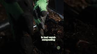 Why I always put kitchen scraps in my raised beds vermicomposting [upl. by Bibi]