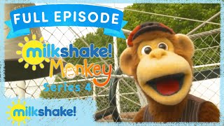 Milkshake Monkey  Captain Monkey [upl. by Yrol]