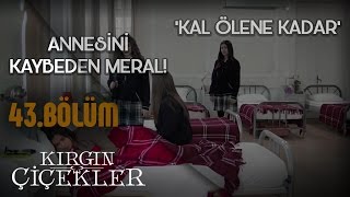 Kal Ölene Kadar  Kırgın Çiçekler 43Bölüm Klip [upl. by Jepson846]