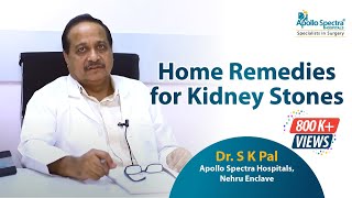 Kidney stone Home Treatment by Dr SKPal at Apollo Spectra Hospitals [upl. by Bogosian]