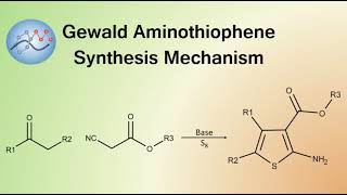 Gewald Aminothiophene Synthesis Mechanism  Organic Chemistry [upl. by Yup292]