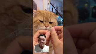 SERIUS AMAT OYEN 🤣🤣🤣 reactionvideo shorts fyp [upl. by Lindsay86]