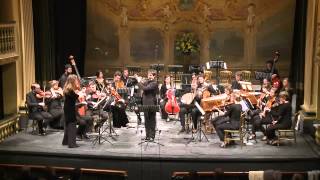 CPE Bach  Concerto for flute strings and continuo in D minor Wq 22 [upl. by Ocirred]