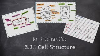 EASY REVISION AQA ALevel Biology 321 Cell Structure by SpecTransfer [upl. by Esme]