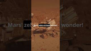 NASAs Perseverance Rover Finds ZebraStriped Rock on Mars 🦓🪨 shorts space [upl. by Behlau34]