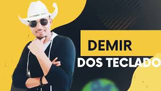 DEMIR DOS TECLADOS  CD COMPLETO VOLUME 06 AO VIVO [upl. by Eiliak297]