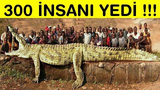 TARİHTE YAŞAMIŞ EN TEHLİKELİ 8 HAYVAN [upl. by Ynehpets]