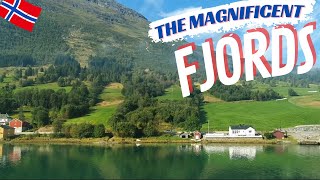 The Magnificent Norwegian Fjords Experience [upl. by Ridglea]