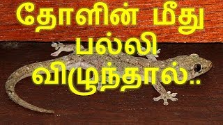 தோளின் மீது பல்லி விழுந்தால் [upl. by Rajewski577]