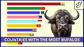 COUNTRIES with the largest POPULATION of BUFFALO [upl. by Nytram]