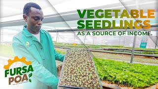 VEGETABLE SEEDLINGS PROPAGATION [upl. by Gans]