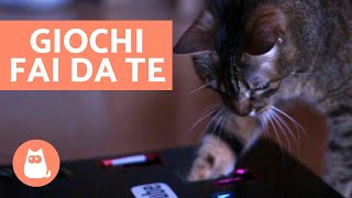 GIOCHI per gatti FAI DA TE con scatole di cartone 📦 [upl. by Urdna]