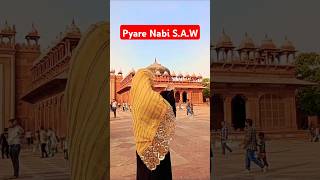 Fatehpur Sikri Buland Darvaza  Agra Historical Place [upl. by Ecilegna]