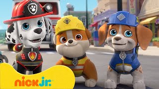 فريق رابل  فريق دوريات المخلاب يلتقي بالطاقم  Nick Jr Arabia [upl. by Lunseth89]