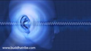 Solfeggio Frequencies Healing Sounds Brain Waves Fibonacci Sequence [upl. by Ruvolo]