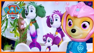 Aqua Pups Save a MerPup Concert  PAW Patrol  Toy Play for Kids [upl. by Nosnibor]