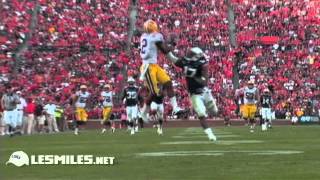 Rueben Randle LSU Career Highlight [upl. by Scrivens732]