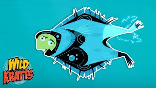 Stingray Transformation Malfunction  Cartoons for Kids  Wild Kratts [upl. by Asetal]