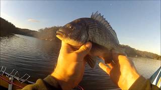 Mallacoota Winter Bream [upl. by Pierette]