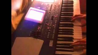 Korg Pa 500  Pink TRY [upl. by Nerin]