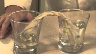 Capillary Action Experiment [upl. by Doretta]