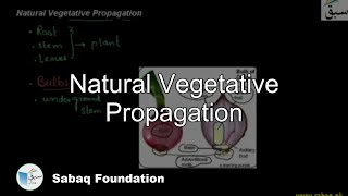 Natural Vegetative Propagation Biology Lecture  Sabaqpk [upl. by Evan899]