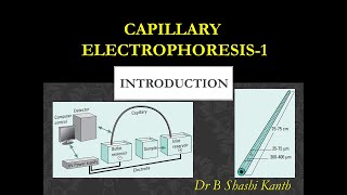 Capillary Electrophoresis1 Introduction [upl. by Franckot]