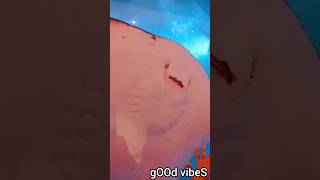 Human Face Fish fishaquarium dubai fishlover fish animal shark gOOdvibeS [upl. by Ytomit]